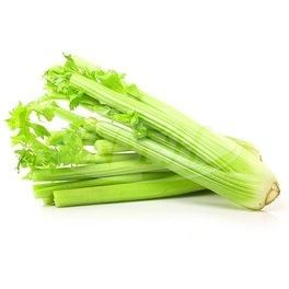Celery/ Batang Sup